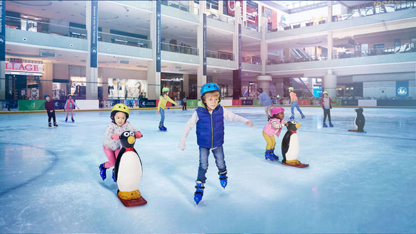 Public Skating Session